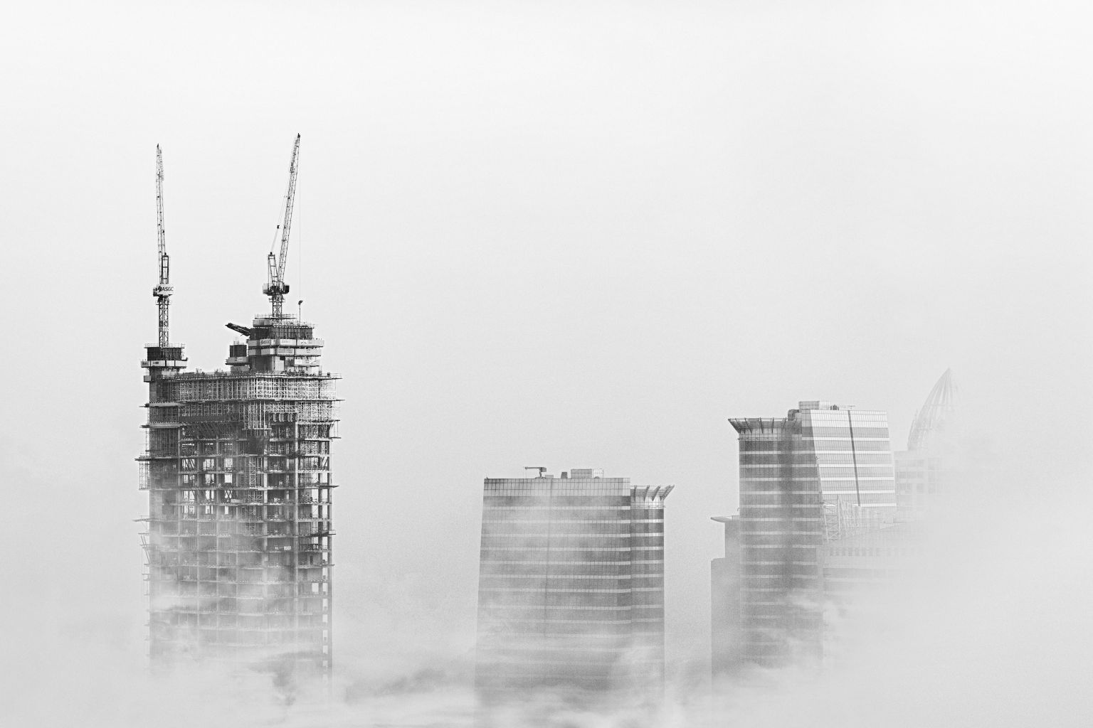 pexels-apasaric-1437493